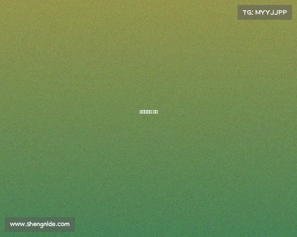 虹口足球场 比赛