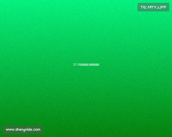 2018自由搏击赛事 自由搏击公开赛