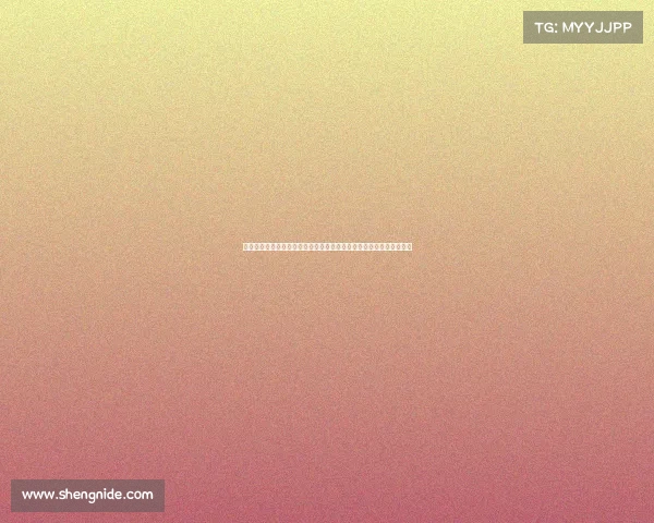 世界瞩目的散打最高赛事顶尖高手巅峰对决争夺王者桂冠荣耀武术舞台