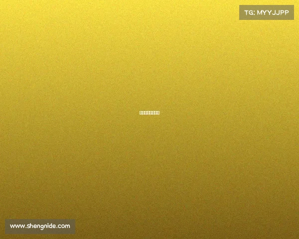 搏击职业队员招募